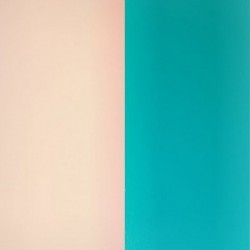 VINY BAG 8MM NUDE/AQUATIC